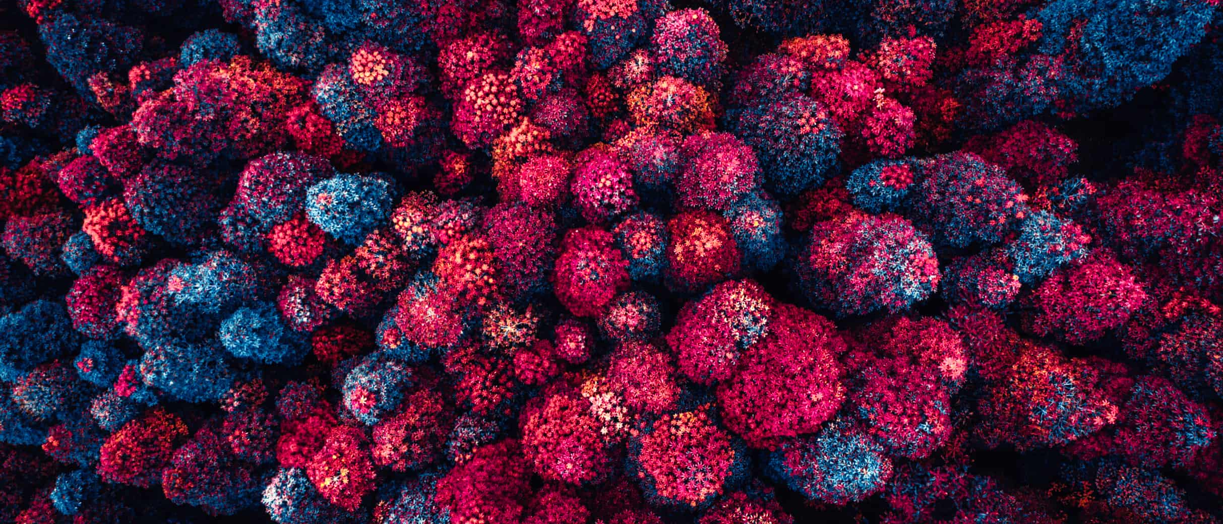 See Your Canopy Clearly.